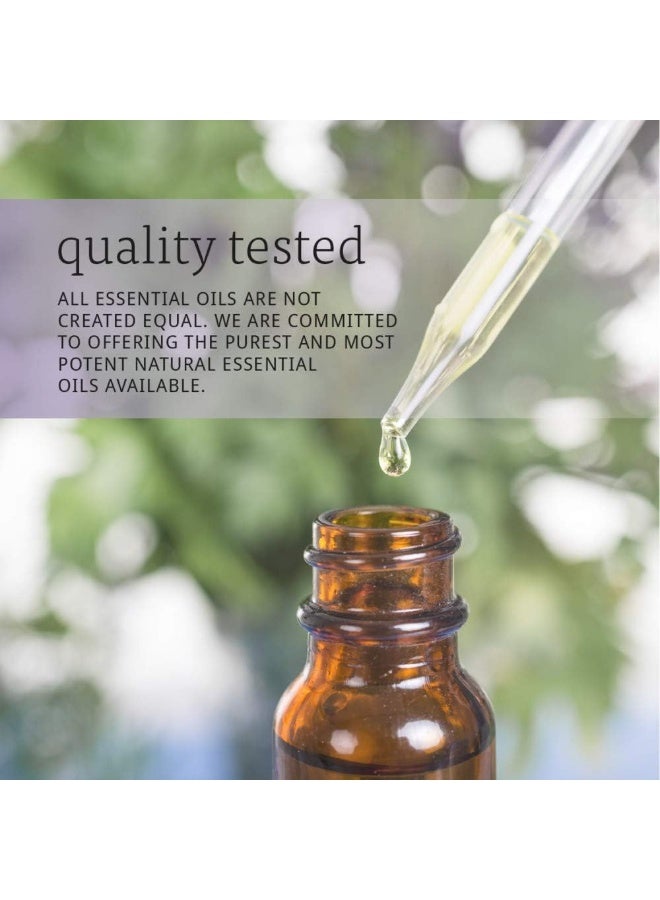 ناو زيت الأوكالبتوس النقي 100% - 59 مل | مُقطّر بالبخار، عطري ومنعش، مُنقي ومنشط، مناسب لأجهزة التبخير وخلطات الزيوت العطرية المنزلية - Image 4